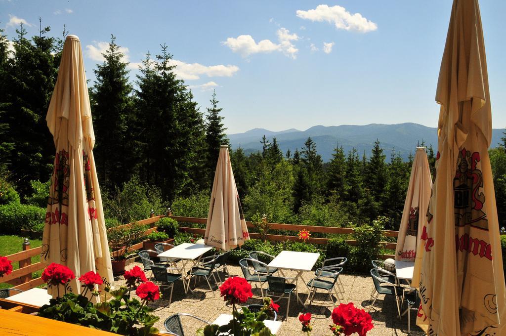Kolmsteiner Hof Ξενοδοχείο Neukirchen beim Heiligen Blut Εξωτερικό φωτογραφία